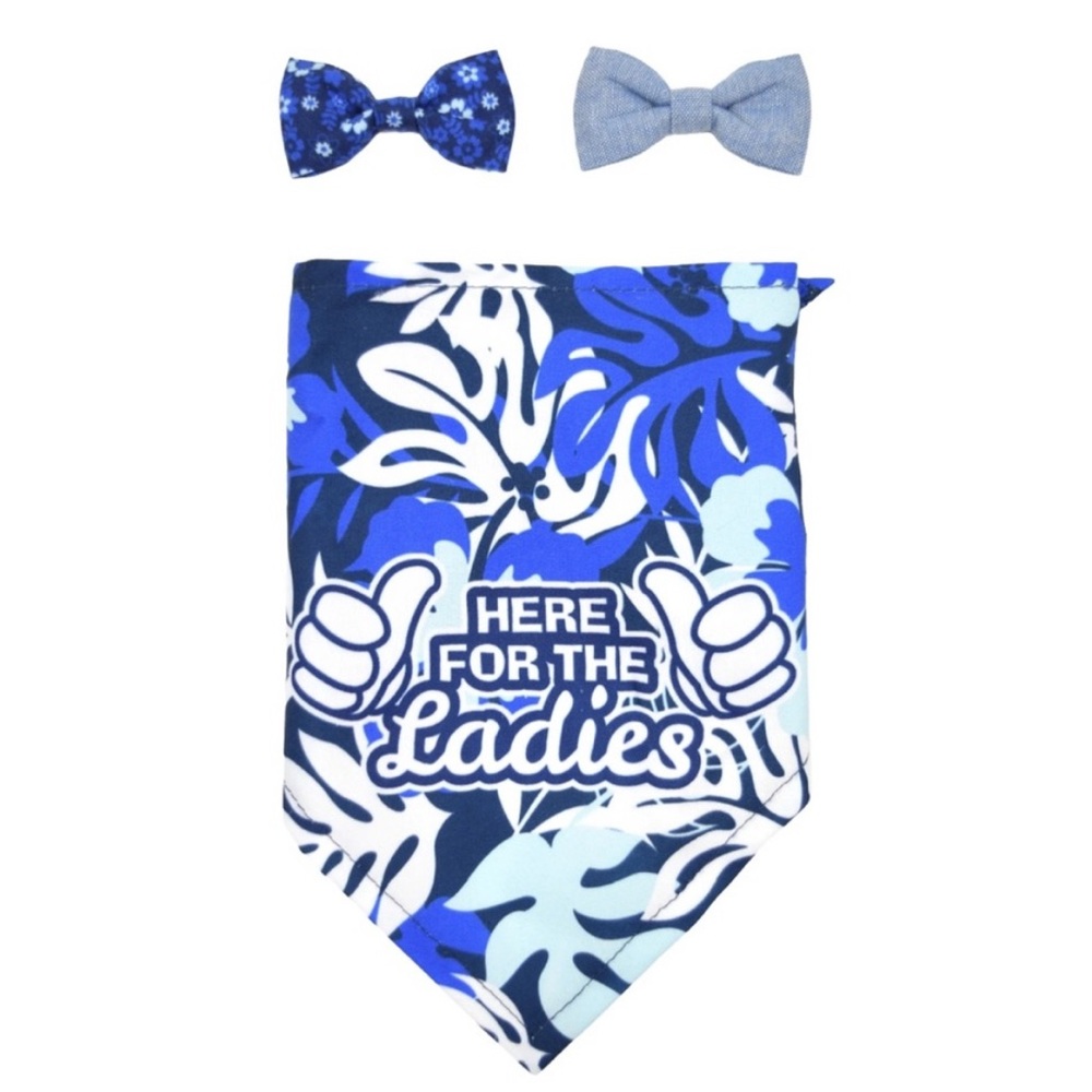 Bandana and Bow tie set size M/L NWT